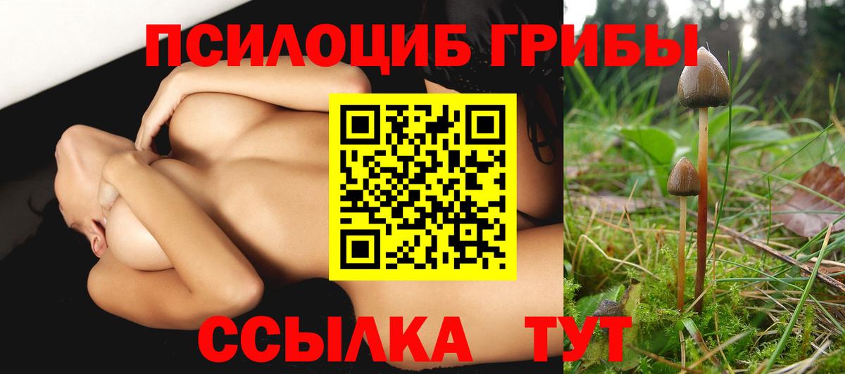 Купить наркотик  МАРИХУАНА  Рязань  Вход с VPN  Меф МЯУ МЯУ кристаллы  ГАШ  ГАШИШ 